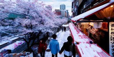 Herramienta IA para crear vídeos